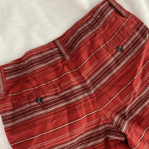 Brick red striped cargo shorts - Picture 12 of 17